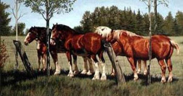 Ned becomes a horse napper