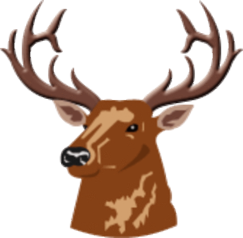 First Game of Holiday Tournament