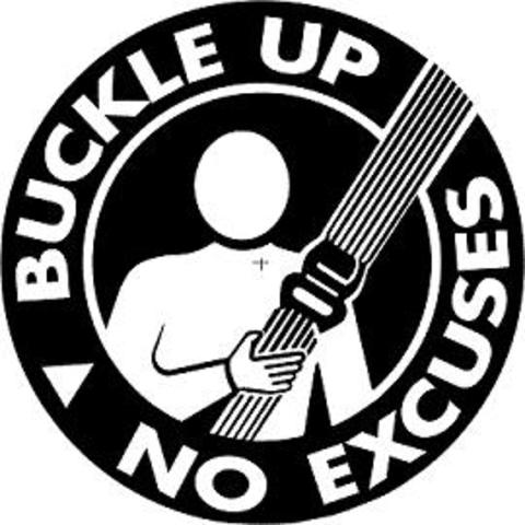 first seat belt law