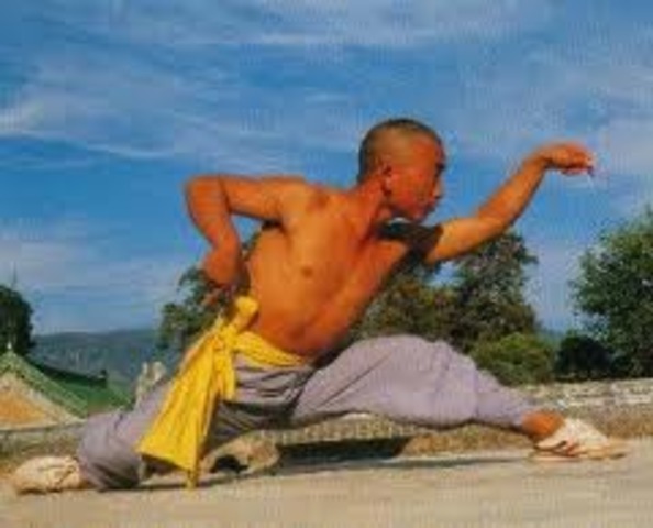 Opened a kung fu school