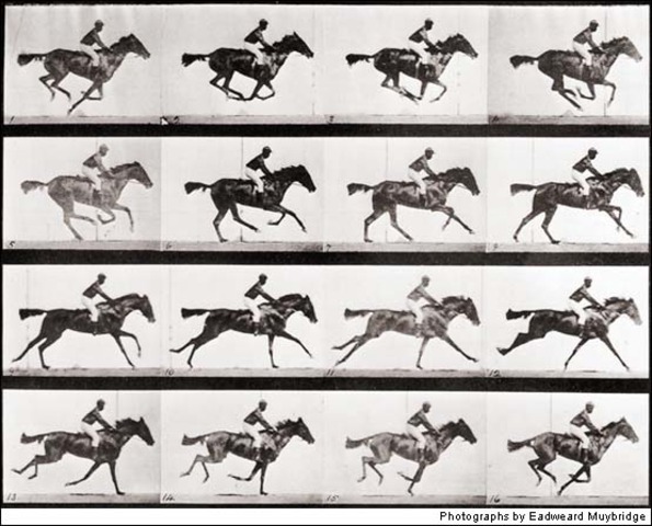 Muybridge