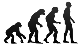 Timeline: Theory of Evolution