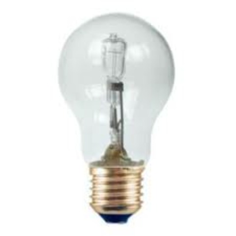 Halogen Lamp