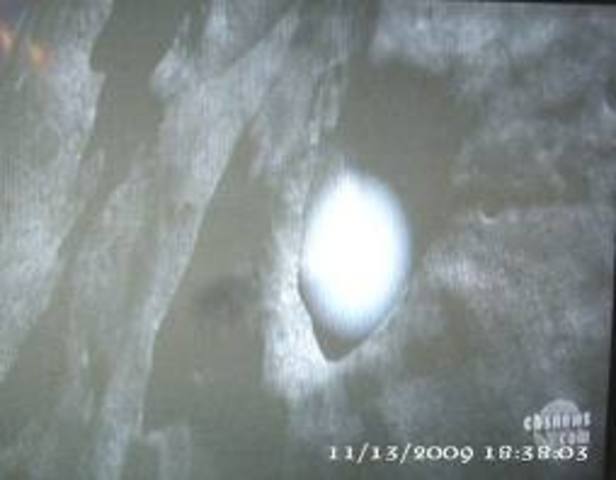 U.S. Spacecraft Finds Frozen Water on Moon