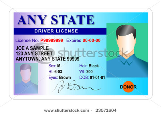 Driver License