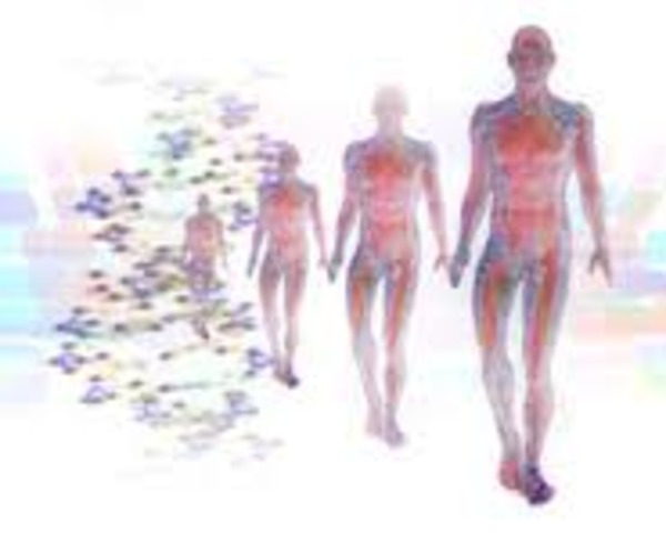 Cloning embryonic stem cells