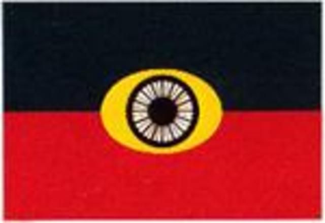 Fred Hollows started the National Trachoma and Eye Health Program