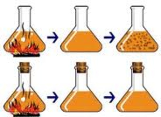 Spallanzi's Experiment