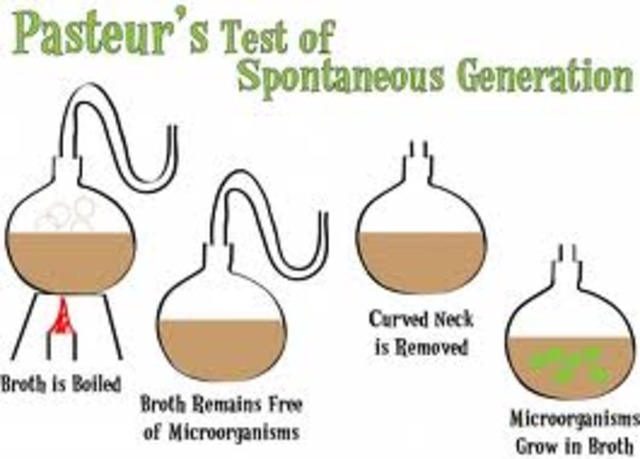 Pasteur's Experiment