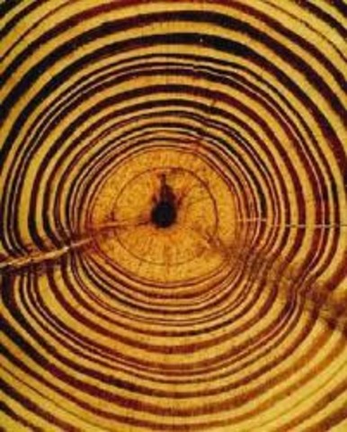 Tree-ring Testing