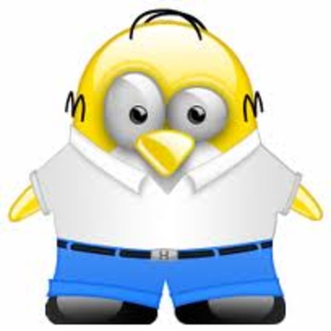 historia del software