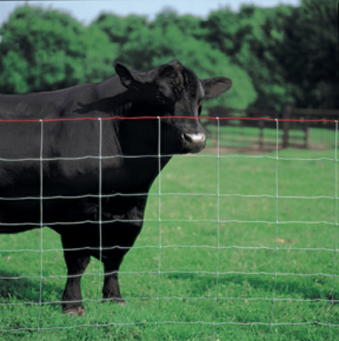Don Nelson, President, Stan Teleski, Treasurer, Brett Eklund, Secretary.  Added the 3rdfence wire to restrict cattle from entering.