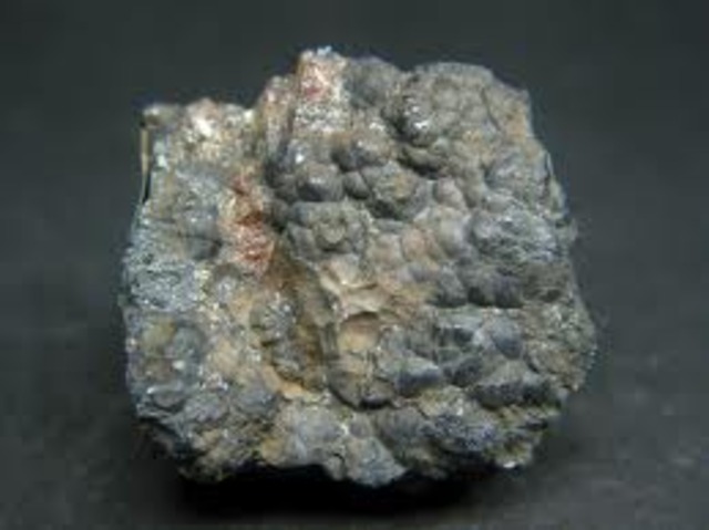 How the research began