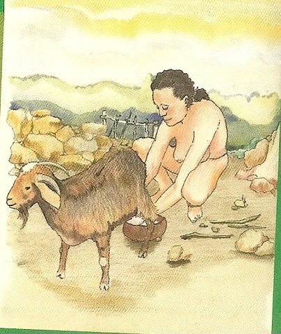 historia de la ed fisica y la recreacion(india)