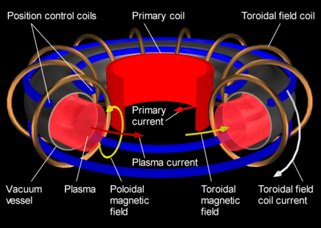 tokamak system