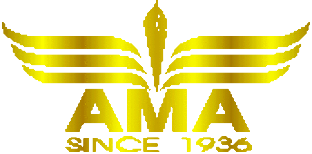 At the March 7, 2007 General Membership Meeting,  Richard Hanson, AMA Vice President of District X presented the East Valley Aviators with the “Gold Leader Club” award for completing the necessary requirements for the award.