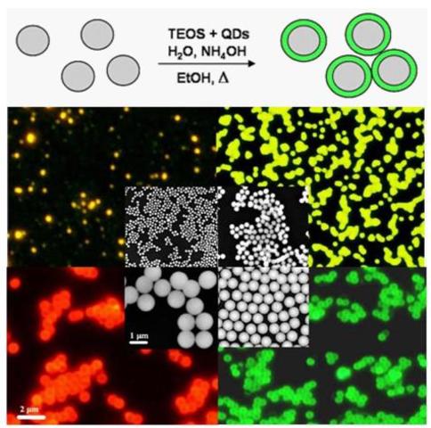 Everything since 1600s: 1900-present (2)