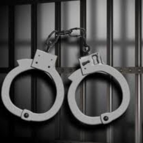 age 14 Ned kelly got arrested