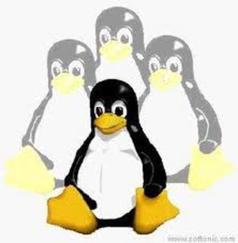 Pinguino como mascota