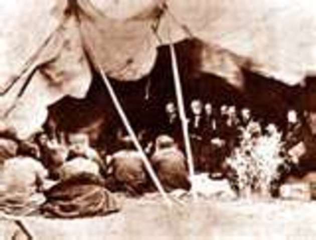 Treaty of Fort  laramie