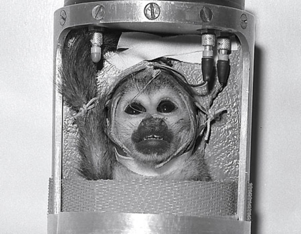 1st Monkey in Space