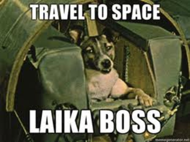 first dog in space