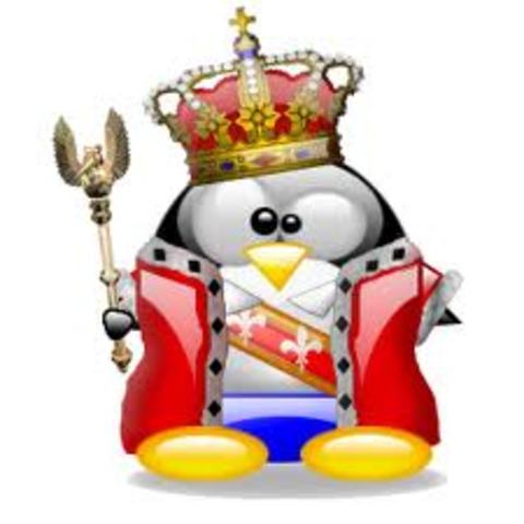 Primera version oficial