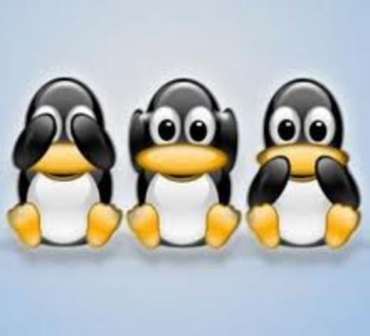 Incremento del sofware