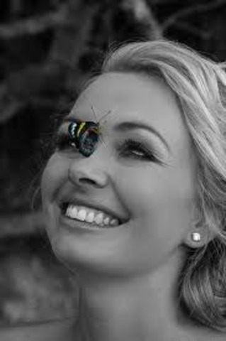 Inquiry term 1 entry 11