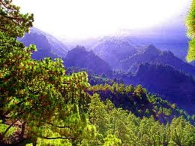 Departs from the Cape Verde Island