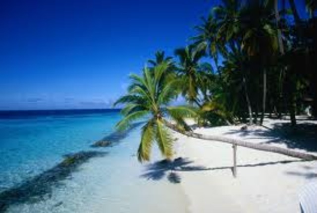 Arrives at the new city of Santo Domingo on Hispaniola.