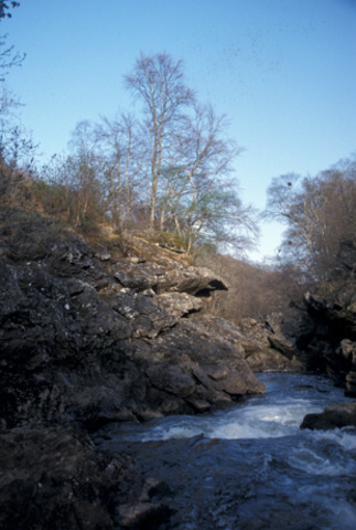 (c.) MacGregor's Leap