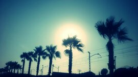 Timeline: Plan for Evaluation