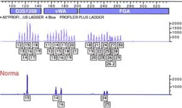 First use of STR in DNA analysis