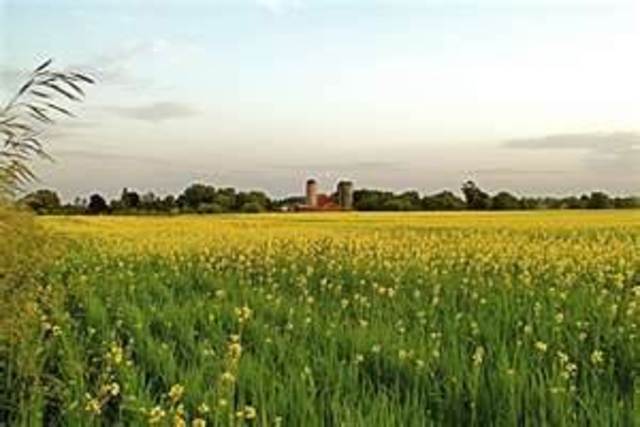 Strand 1: First Wave