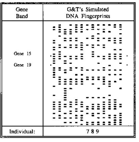 DNA Fingerprints