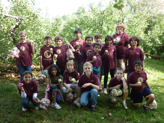 Apple Picking at Honey Pot