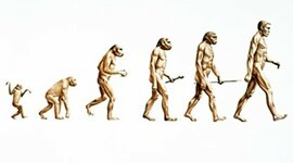 Timeline: Unit B Project, Bio 20