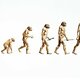 Evolution of man