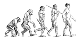 Timeline: Past to Present: The Theory of Evolution by Means of Natural Selection - By Tyler Biddulph
