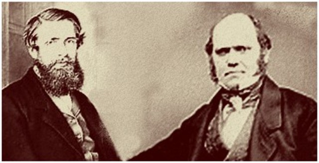 Wallace and Darwin