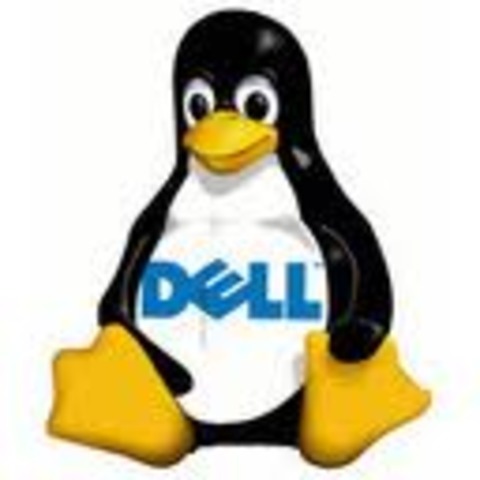 Union de Linux y Dell