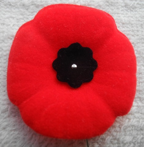 War Ended in Europe (VE day)