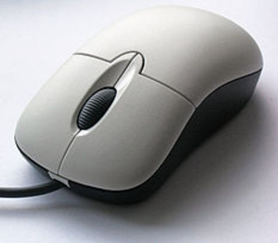 Computer Mouse