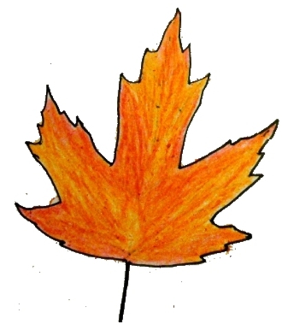 Nanny transfers her hopes to Janie