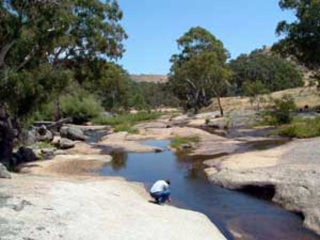 Ned rescued a boy stuck in Hughes Creek