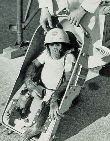 Monkey in Space