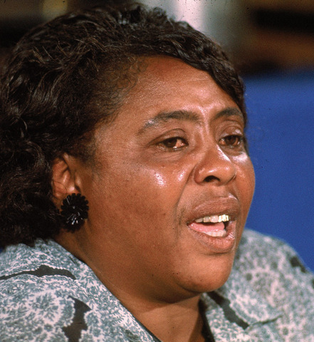 The 1964 Democratic National Convention