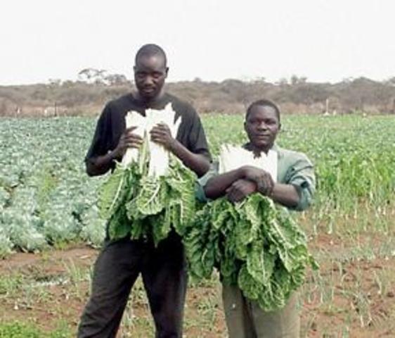 U.S. Establishes Commission with South Africa