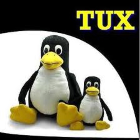TORVALDS ADOPTA AL PINGUINO TUX.